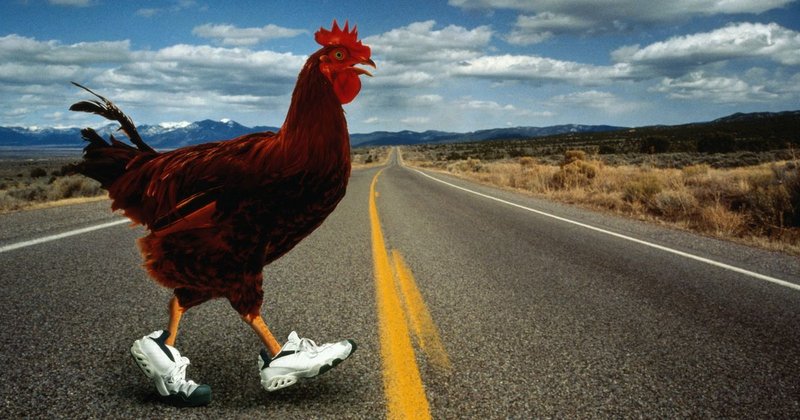 Best chicken road oficial in Spain