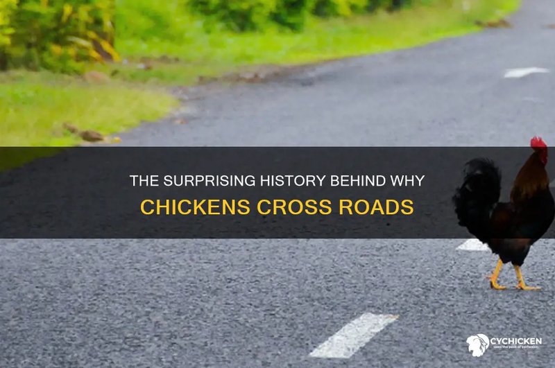 Descubre el secreto detrás del juego de azar Chicken Road en España
